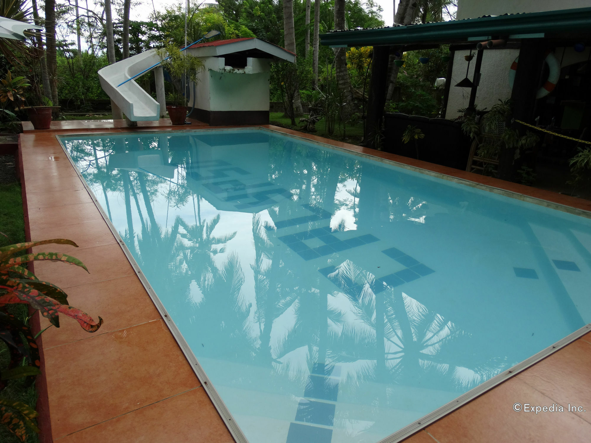 Calypso Resort Panglao-stad Buitenkant foto