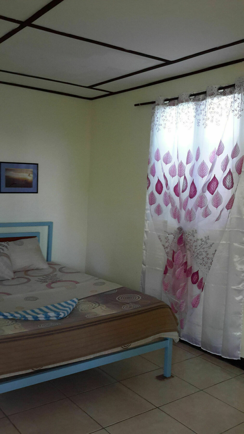 Calypso Resort Panglao-stad Buitenkant foto